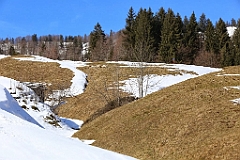 IMG_0192