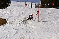 IMG_0260