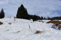 IMG_0334