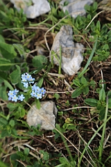 2Tageswanderung Zugspitze_0045