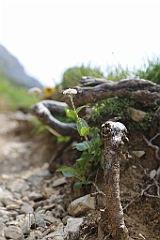 2Tageswanderung Zugspitze_0046