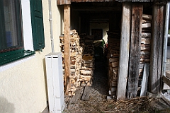 IMG_7303